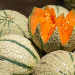 Charentais French Cantaloupe