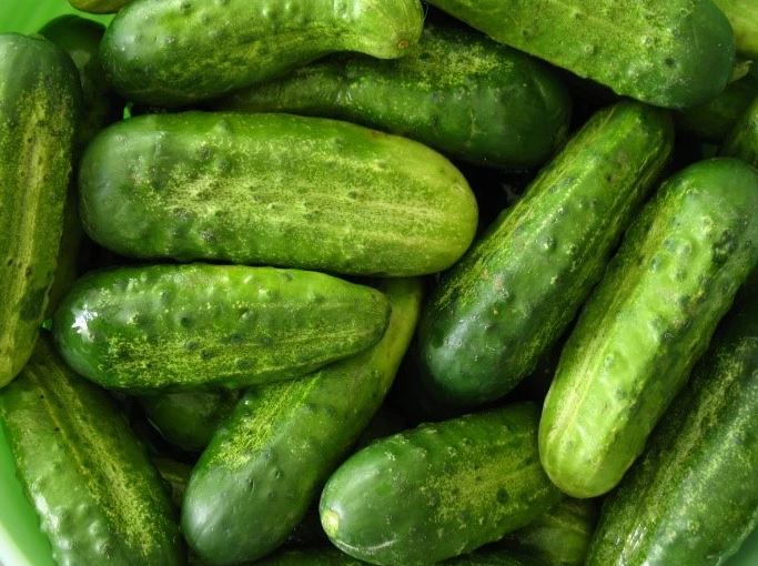 When Is It Actually Safe to Plant Outside Here?