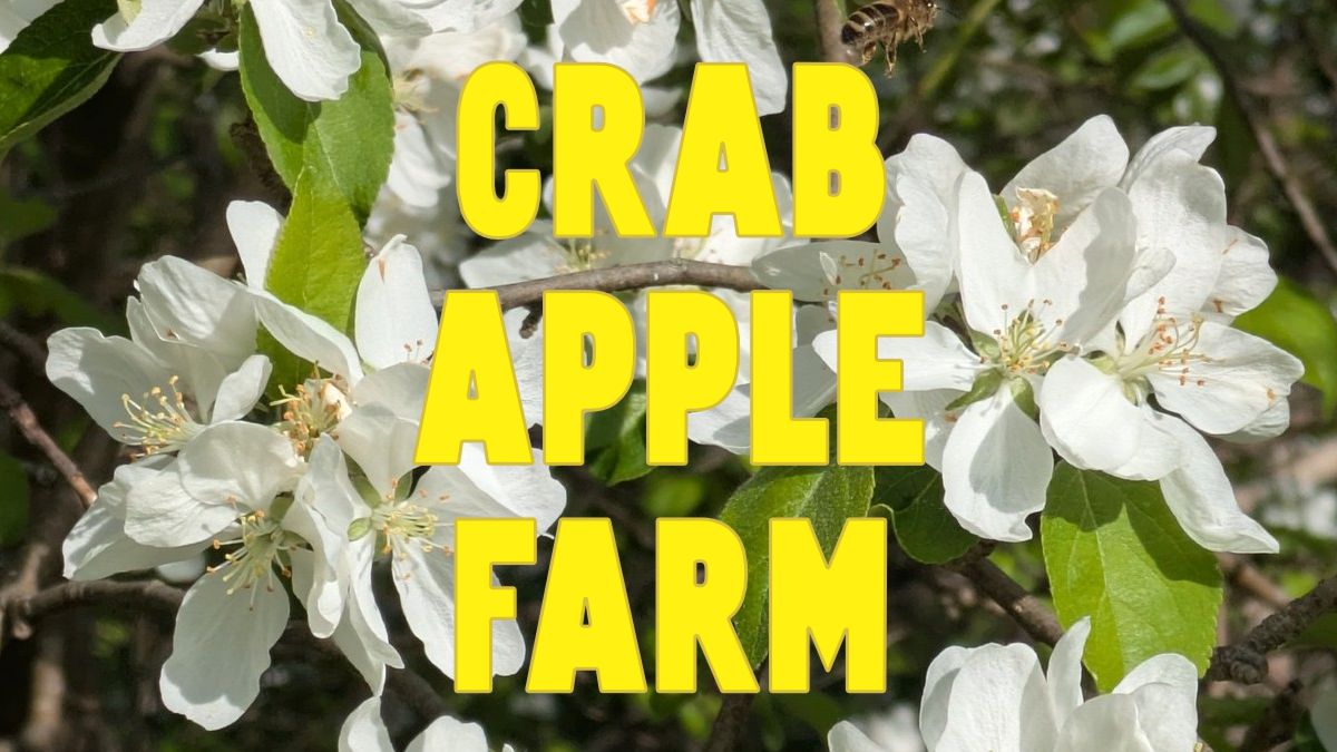 Crab Apple Farm, Cape Breton vegetable farm