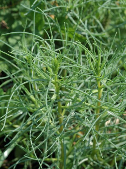 Why We Keep Farming This Way (Even When It’s Hard)