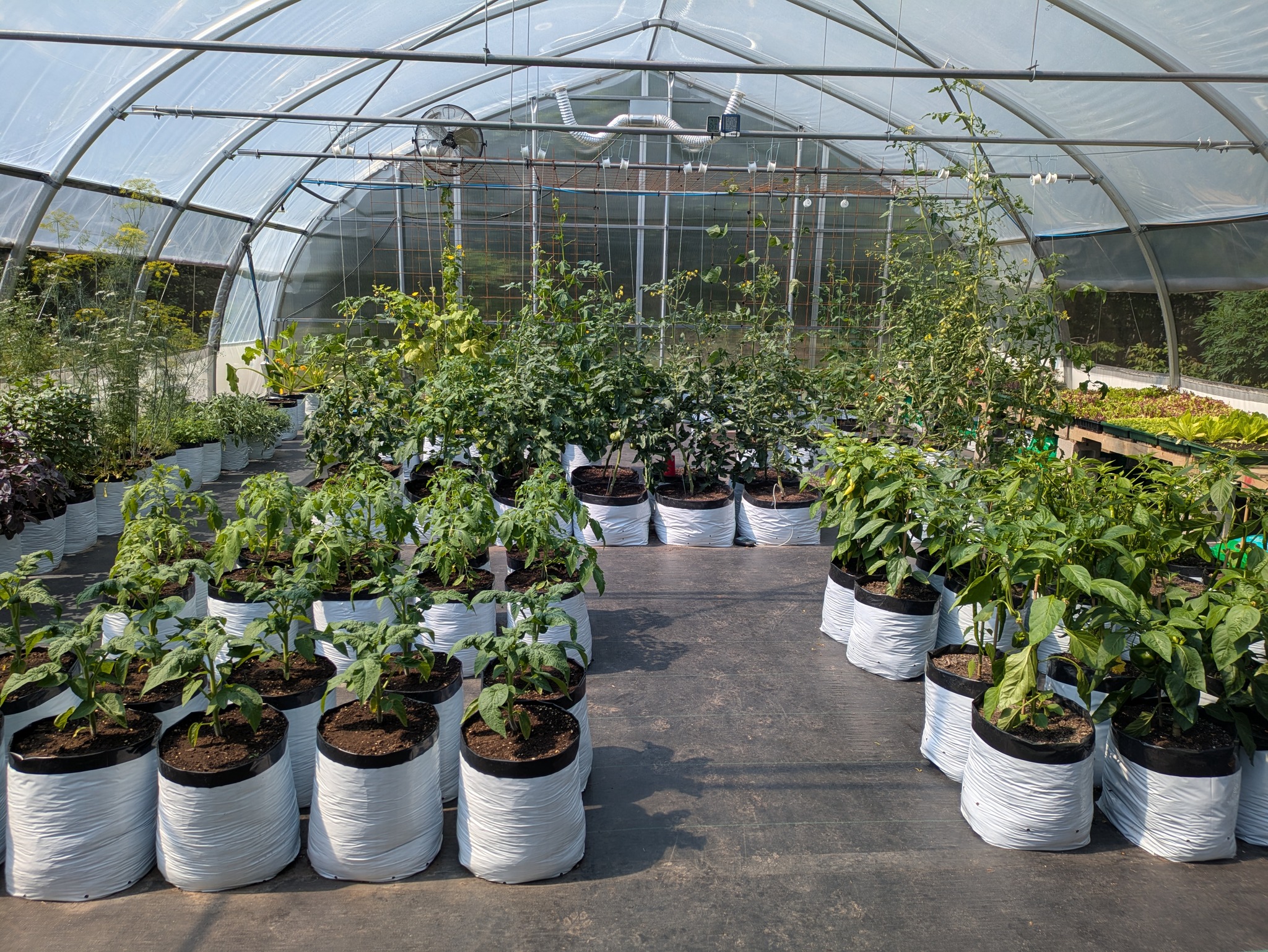 How Our Starter Preorders Work (and Why Quantities Are Limited)