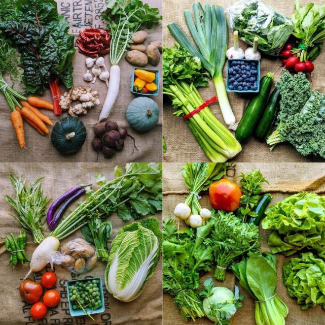 What a Typical Harvest Week Looks Like on a Small Farm