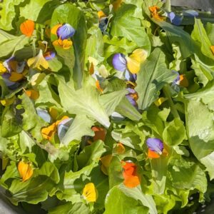 Flower Power Salad Mix
