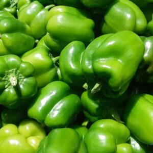 Green Bell Pepper