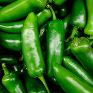 Jalapeno Pepper