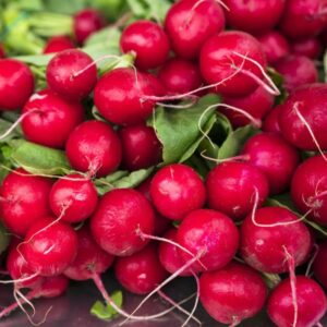 Radish